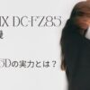 Lumix DC-FZ85 successor