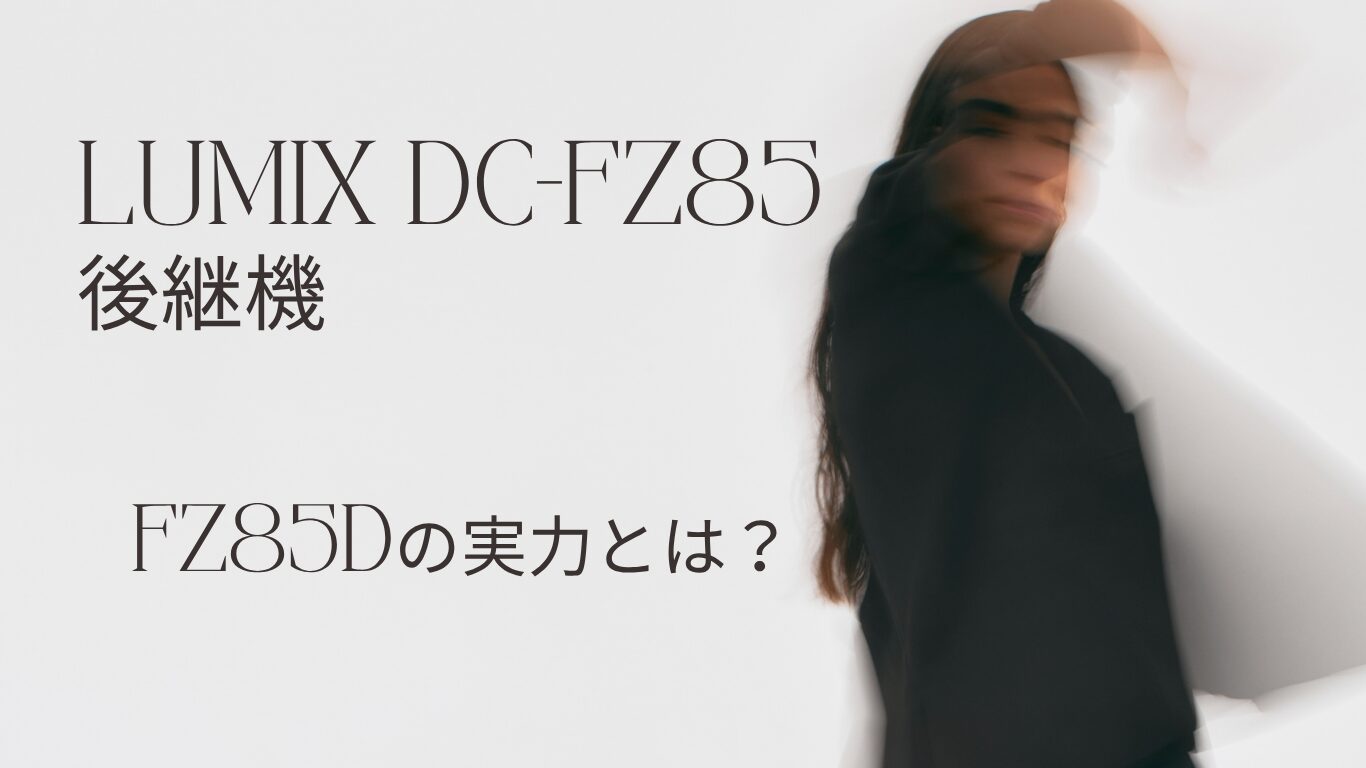 Lumix DC-FZ85 successor