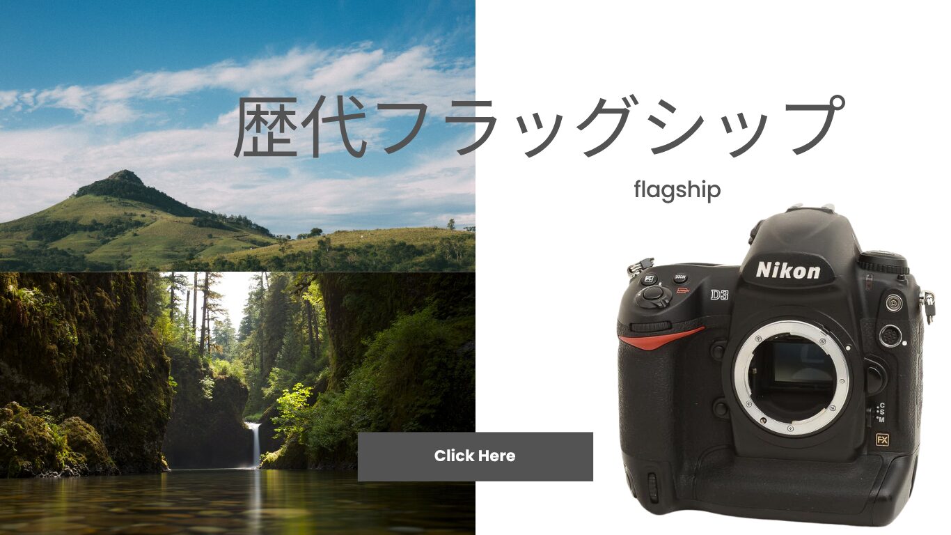 Nikon flagship models