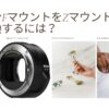 Nikon Z mount to F mount compatibility