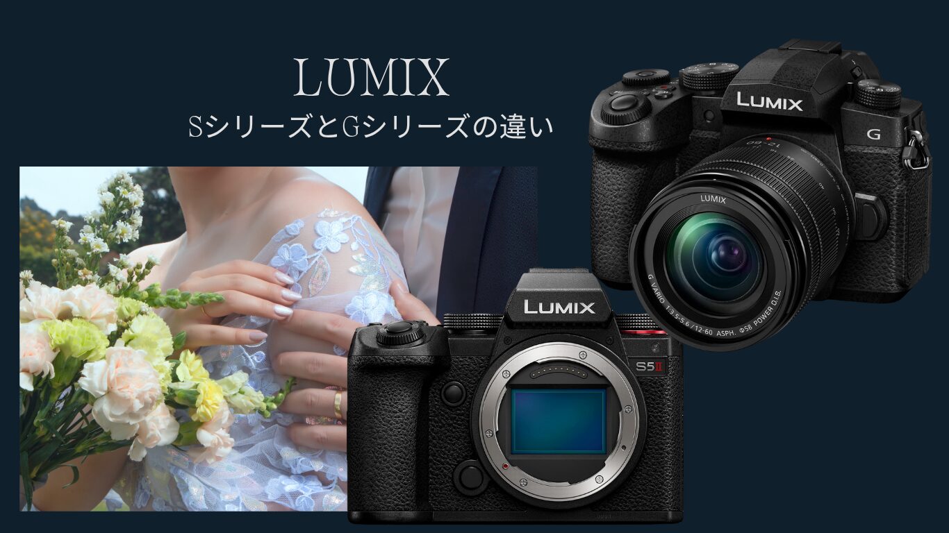 Difference between the Lumix S series and G series