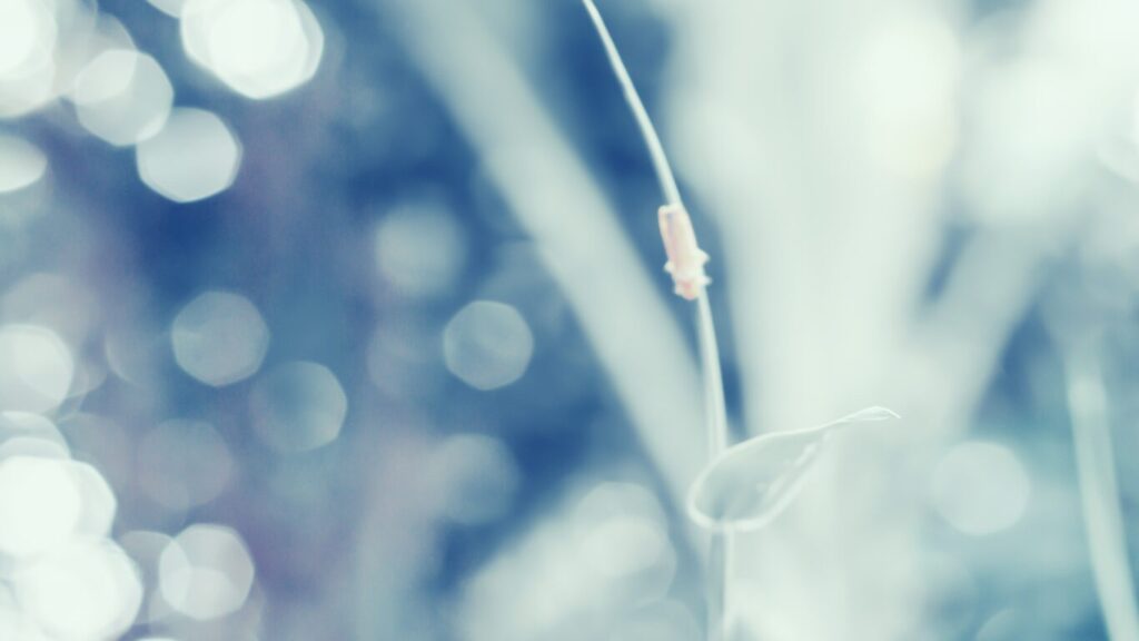 美しいLUMIX GF1の作例紹介