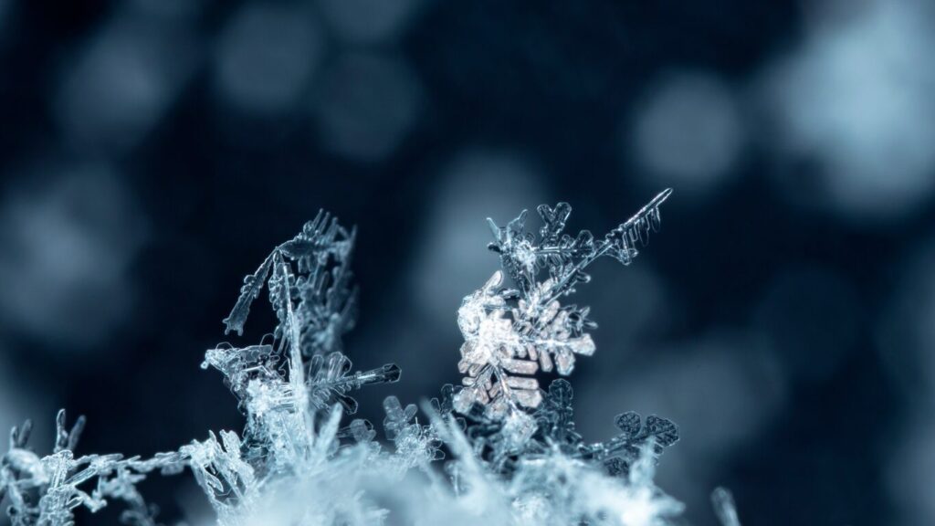 INSTAX Pal 画質が悪いと言われる理由