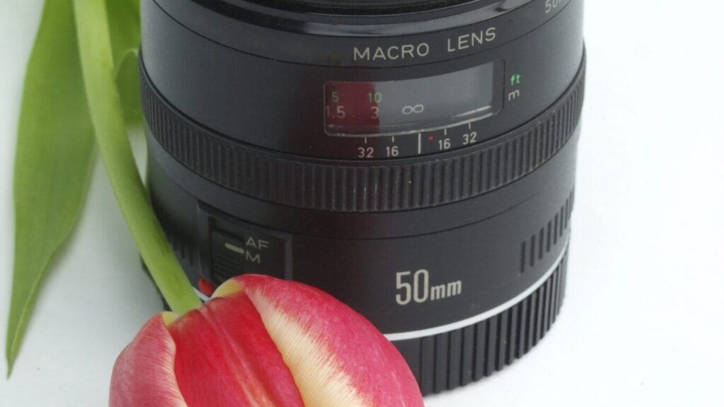 NIKKOR Z 24-120mm f/4 Sで星空撮影は可能か