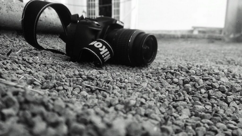 nikkor z 24-120mm f/4 s ポートレートの実力