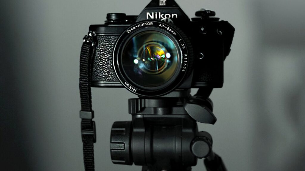 NIKKOR Z 50mm f/1.8 Sで表現する美しいボケの世界