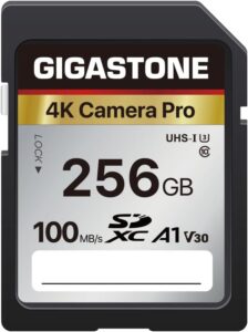 GIGASTONE SDカード 256GB メモリーカード A1 V30 U3 Class 10 SDXC 高速 4K UHD & Full HD