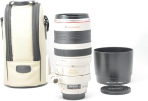 Canon 望遠ズームレンズ EF100-400mm F4.5-5.6L IS USM