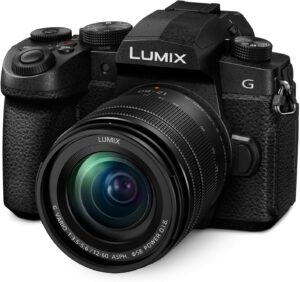 LUMIX G95 12-60mm F3.5-5.6 マイクロフォーサーズレンズ 5軸デュアルI.S. 2