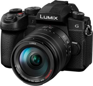 パナソニック (Panasonic) ミラーレス一眼カメラ LIMIX 高倍率ズームレンズキット DC-G99M2H