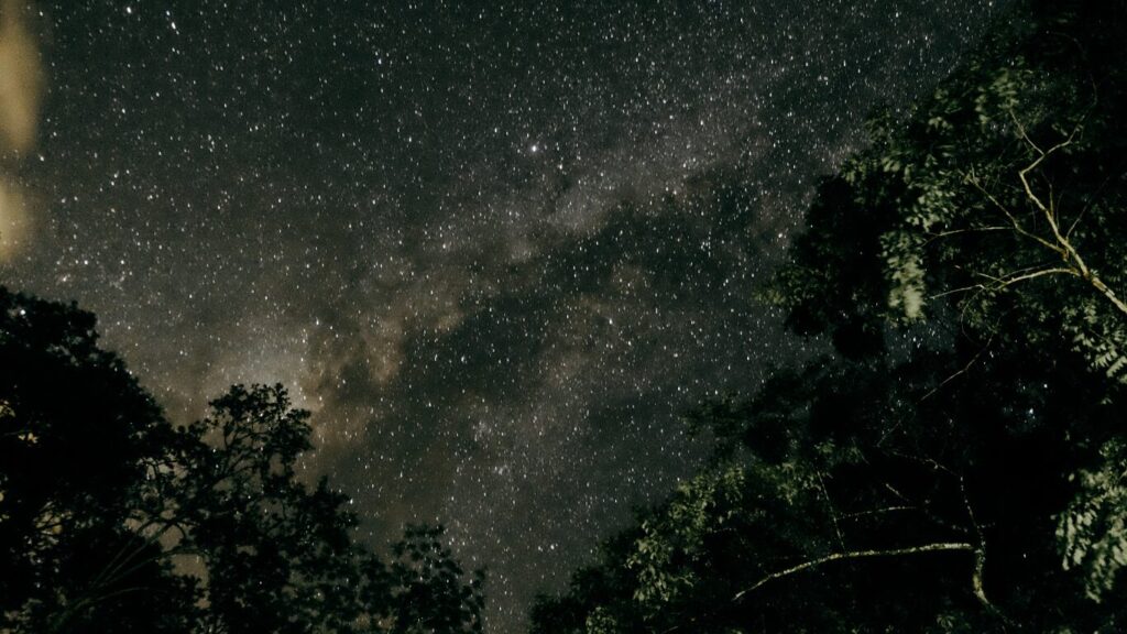 nikkor z 40mm f/2で星空は撮れる？徹底解説