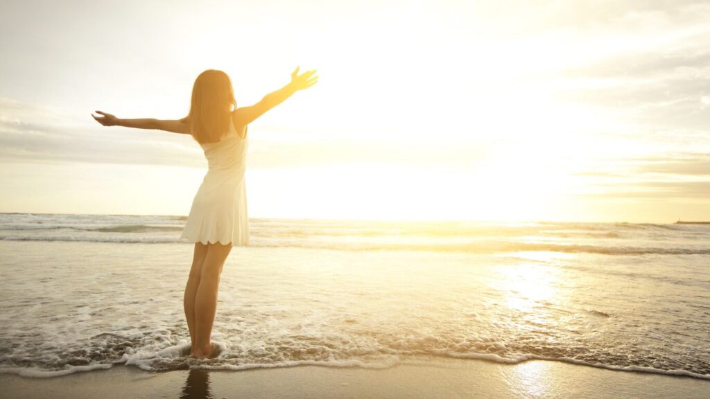 Instax mini Evoをヨドバシで購入するには