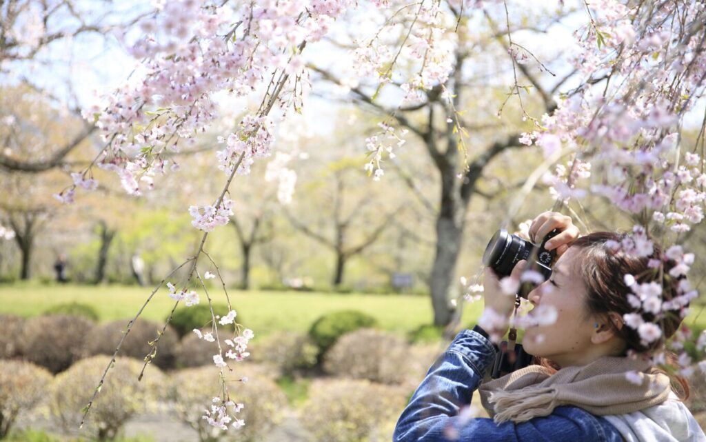 Instax mini Evo スマホ転送ができない原因