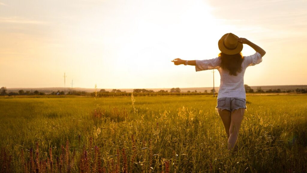 画質とRAW耐性の見方