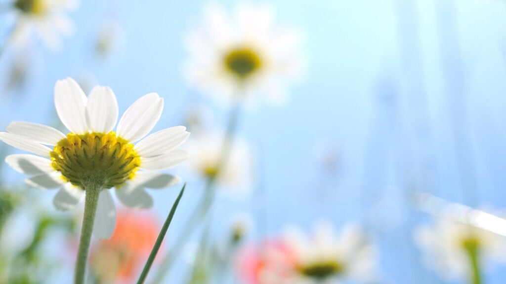 Vlogカメラハンズフリーの利点