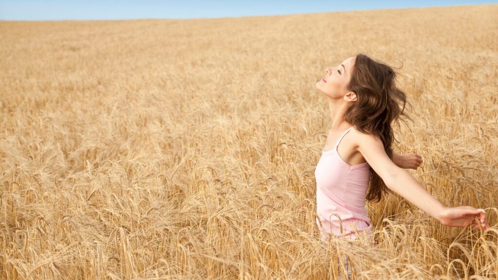 eos r rp どっちが最適か